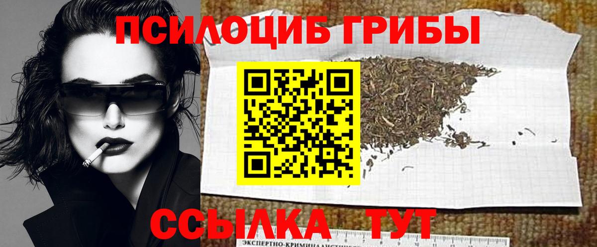 Тейково  Псилоцибиновые грибы мухоморы  наркошоп  Вход с VPN 